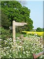 Overgrown footpath junction and stile just south of Bryce's Farm in SO51 6FX