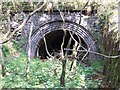 Entrance to Trubshaw's Tunnel in ST10 3ER