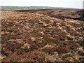 Bance Edge on Thurlstone Moor in S36 4AF
