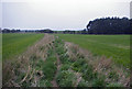 Footpath through fields north of Dunstan in Craster