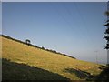 Hillside above Widdicombe Ley in TQ7 2EF