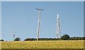 Poles and mast near Widdicombe in TQ7 2EF