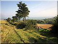 Gateway above Widdicombe valley in TQ7 2EF