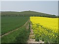 View across fields towards Walkers Hill in SN8 4JX