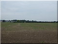 Farmland off Greensbridge Lane in L27 5RX