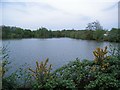 Fishing lake at Packington Park in CV7 7HG