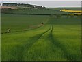 Farmland above Manningford Abbotts in SN9 6HT