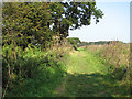 Footpath to Hagg Wood in NR13 6EX