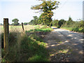 View along Long Lane in NR12 8EB