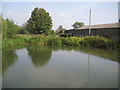 Grand Union Canal: Aylesbury Arm: Merrymead Farm Winding Hole in HP22 5EW