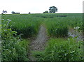 Farmland west of the Fosse Way in CV23 0RP