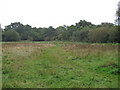 East Marsh, Cranham Marsh Nature Reserve in RM14 2UY