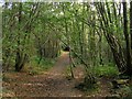 High Weald Landscape Trail in RH17 5RJ