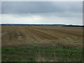 Stubble field, West Grange in DN17 3AU