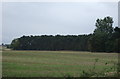 Farmland and woodland in DN21 3HX