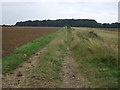 Farm track towards Fox Covert in DN21 3HZ