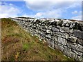 A splendid drystone wall  in NE66 4TD