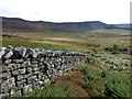 Dry stone wall  in NE66 4TD