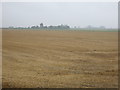 Stubble field off Black Bank in DN17 3AW