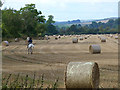 Horse rider and field of bales in TD9 8RX
