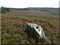 Boulder in deep heather and bracken in NE65 7QA