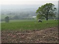 View towards South Brewham from Hilcombe Farm in BA10 0JZ