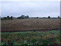Farmland off Walkerith Road in Walkerith