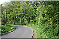 Road and woodland near Lenacre Hall Farm in TN25 4PG