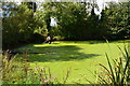 Pond at Lower Froyle in GU34 4LR