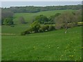 Downland, Upper Chute in SP11 9EW