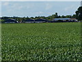Farmland next to the B4065 Leicester Road in CV7 9QL