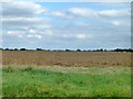 Ploughed field south of  Henham in CM22 6AA