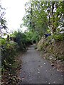 Ham Lane, an old sunken lane in PL2 3RJ