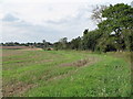 Arable land, Boxted in CO4 5SR