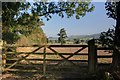 Gate into Field Near Stockmeadows in Leekfrith