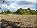 Fields north of Binfield in RG42 5PR