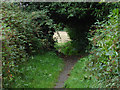 Footpath from Carters Hill in RG42 5PR