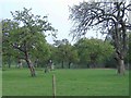 Orchard, near Harpley in WR6 6HD