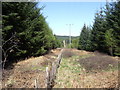 Line break through Potarch Wood. in AB31 4BE