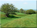 Castle Hill fort, Blunsdon in Blunsdon