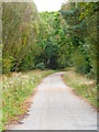Track going towards Blackwater Lodge on Yately Common in Blackwater and Hawley