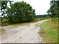 Junction of tracks on Yately Common in Blackwater and Hawley