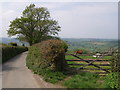 Lane from Bowden Down in PL19 0NQ