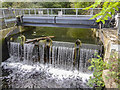 Weir at Sandford Mill, Chelmsford, Essex in CM2 6NX