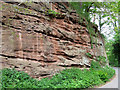 Sandstone Exposure, Hopstone, Shropshire in WV5 7BW
