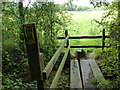 Path crosses footbridge and enters field from the east in GU32 1RB