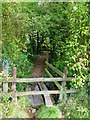 Footpath approaches North Stroud Lane from the west in GU32 1RB