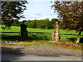 Elegant field entrance at Harroway Farm in GU32 1RT