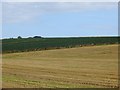 Arable land near Bryanton in DD11 5RL