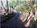 Llwybr Primrose Path in SA8 3EH